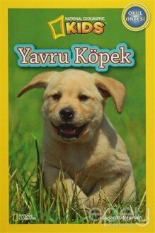 Yavru Köpek