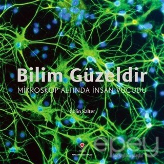 Bilim Güzeldir - Mikroskop Altında İnsan Vücudu