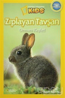 Zıplayan Tavşan