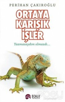 Ortaya Karışık İşler