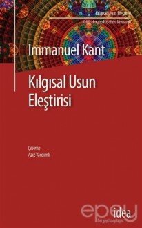 Kılgısal Usun Eleştirisi