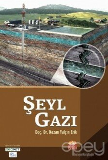 Şeyl Gazı