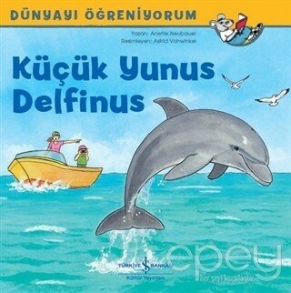 Küçük Yunus Delfinus