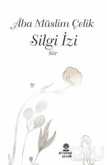 Silgi İzi