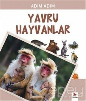 Yavru Hayvanlar