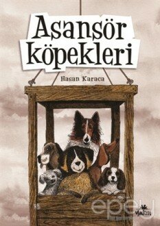 Asansör Köpekleri