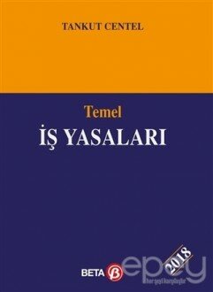 Temel İş Yasaları