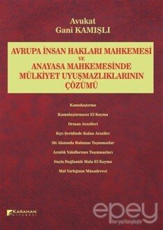 Avrupa İnsan Hakları Mahkemesi ve Anayasa Mahkemesinde Mülkiyet Uyuşmazlıklarının Çözümü