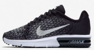 Nike Air Max Sequent 2 Spor Ayakkabı (869993-001)