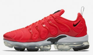 Nike Air VaporMax Plus Spor Ayakkabı (924453-602)