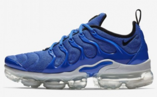 Nike Air VaporMax Plus Spor Ayakkabı (924453-404)