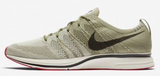 Nike Flyknit Trainer Spor Ayakkabı (AH8396-201)