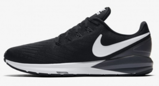 Nike Air Zoom Structure 22 Spor Ayakkabı (AA1636-002)