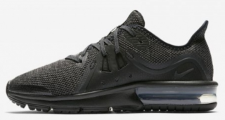 Nike Air Max Sequent 3 Spor Ayakkabı (922884 006)