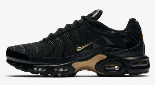 Nike Air Max Plus Spor Ayakkabı (852630-022)