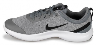 Nike Flex Experience Rn 8 Spor Ayakkabı (AQ2246-003)