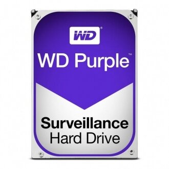 WD Purple HDD (10 TB) (WD101PURZ)