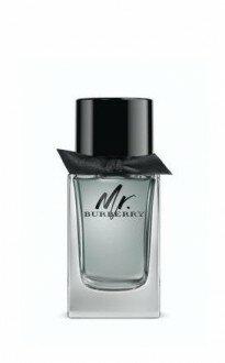 Burberry Mr. Burberry EDT 50 ml Erkek Parfümü